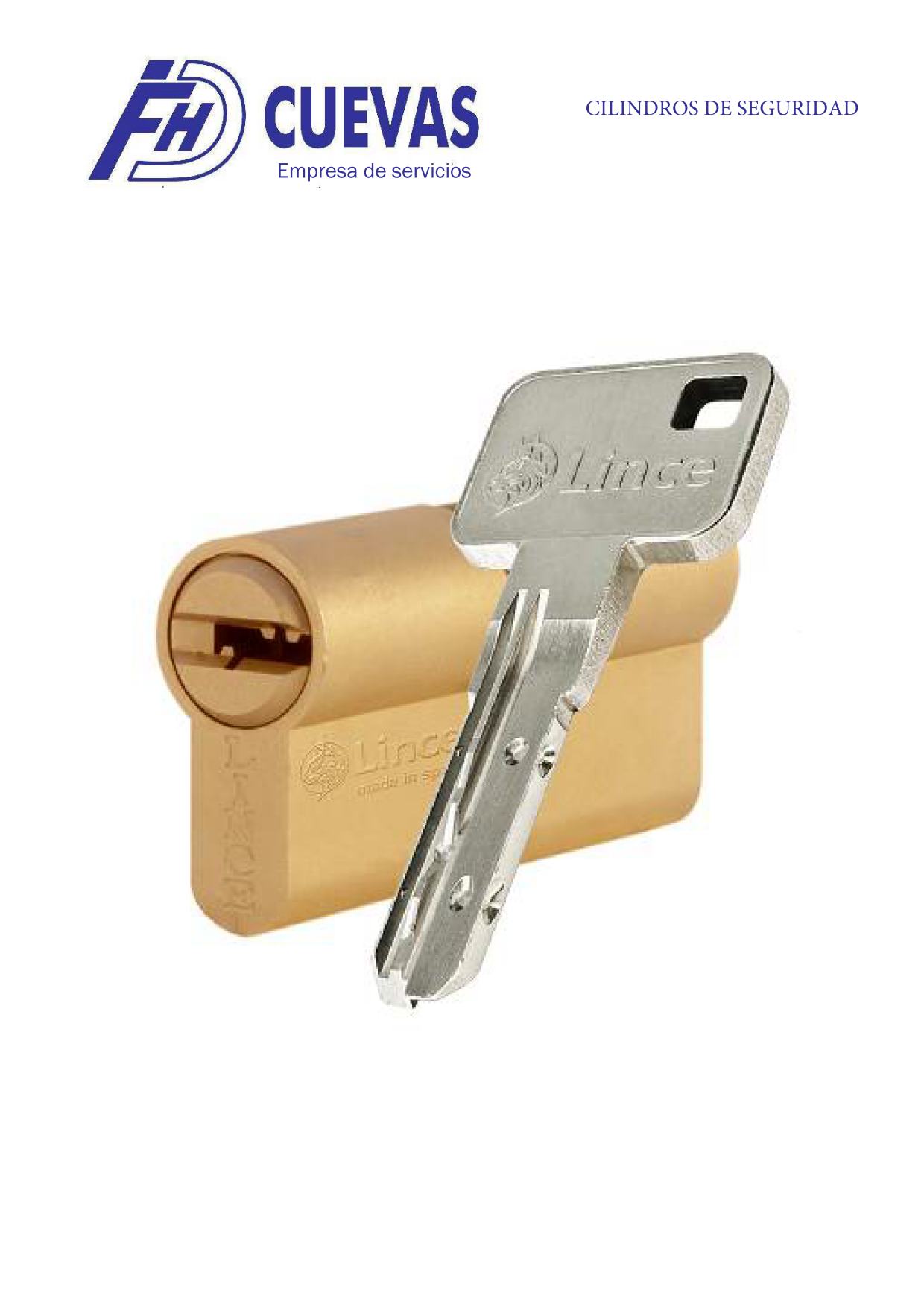 Herrajes, cerraduras y accesorios. Cilindros de seguridad.